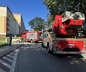 Kontrola parkowania na osiedlu w Stargardzie