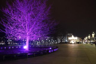 Lublin życzy „Wesołych świąt”. Tak się prezentują świąteczne iluminacje