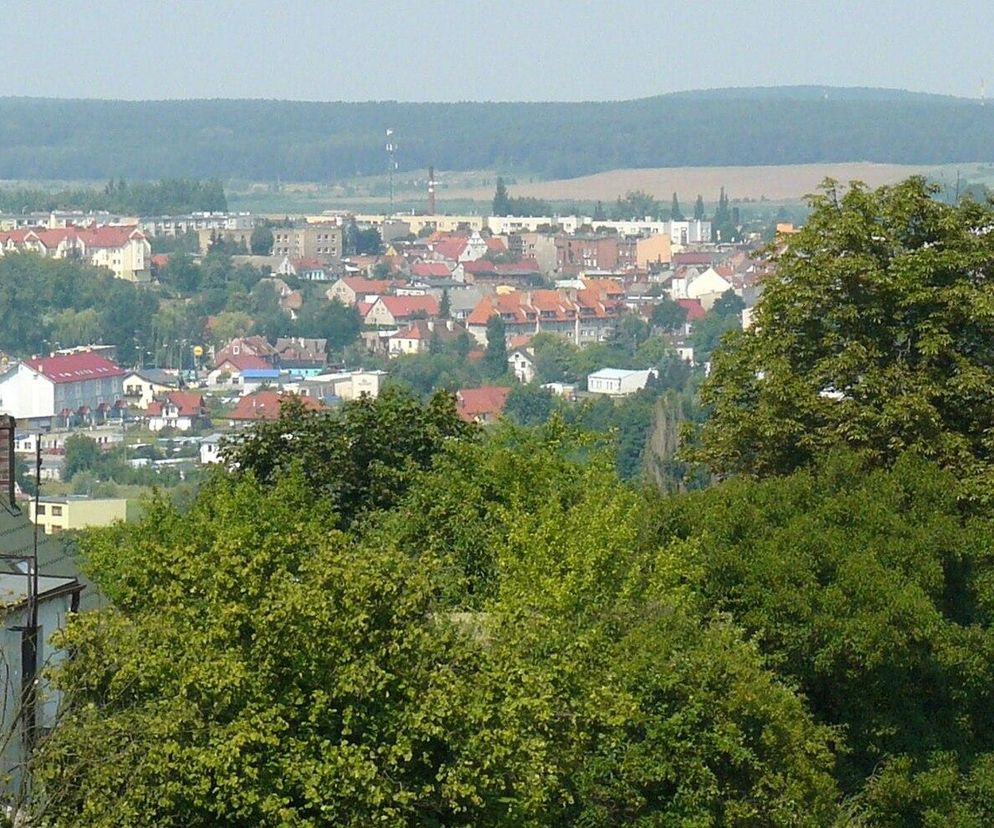 Chodzież