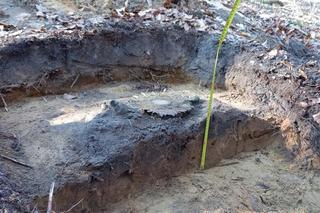  Monstrancję znaleziono w lesie 