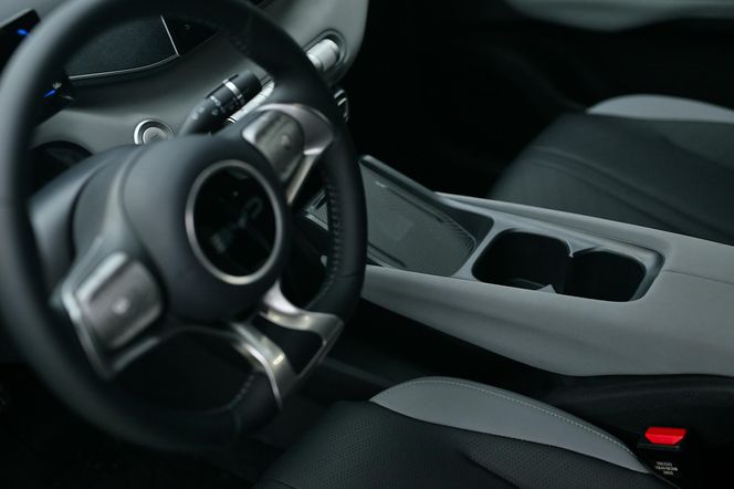 BYD DOLPHIN SURF