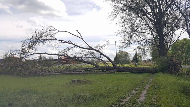 3 Skutki nawałnicy w woj. łódzkim /okolice Giemzowa