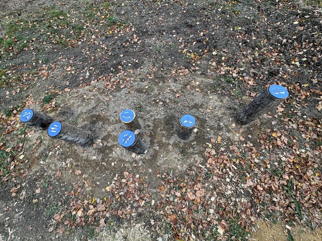 Serenity Park w Mysłowicach to nowe miejsce wypoczynku na Śląsku