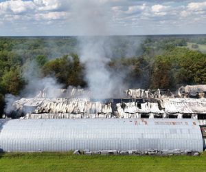 Warszawa. Pożar hal magazynowych w Kawęczynie [ZDJĘCIA]