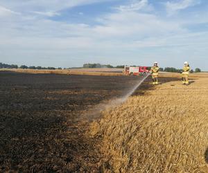 Dwa pożary zboża oraz rżyska w powiecie braniewskim