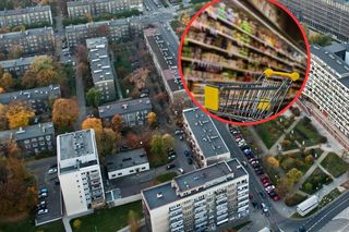 Miasta w Śląskiem zasypane Lidlami, Biedronkami i Aldi
