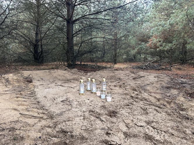 Mroczna tajemnica zaginionego 28-latka z Myszyńca. Sebastian G. zakatowany przez kolegów Makabra w lesie