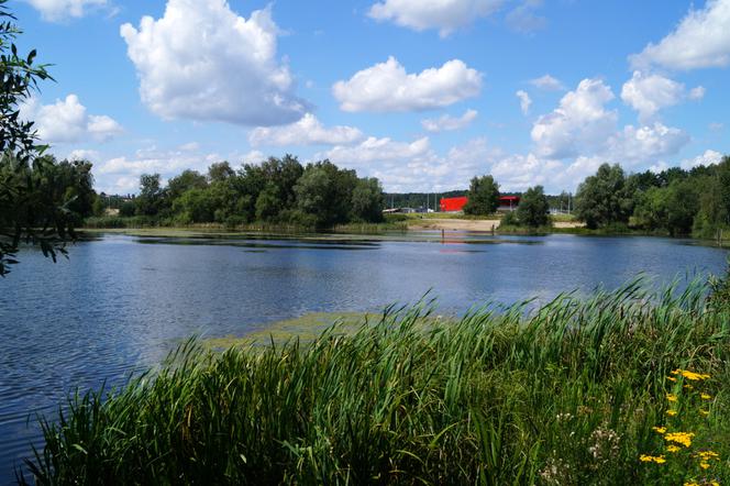 Kolejne zbiorniki retencyjne w Gdańsku zmienią się dla mieszkańców.