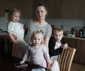 Wilki w rejonie Puszczy Knyszyńskiej. Mieszkańcy alarmują
