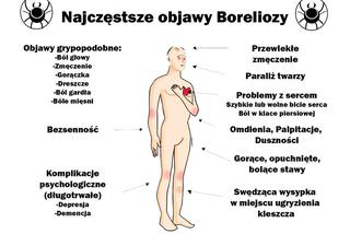 Duża liczba zachorowań na boreliozę na Warmii i Mazurach 