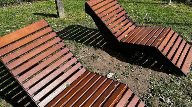 Park Lawendowy na osiedlu TBS w Białymstoku
