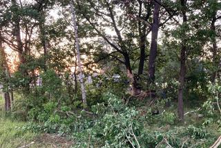 Wypadek na A4 w rejonie Zaczarnia