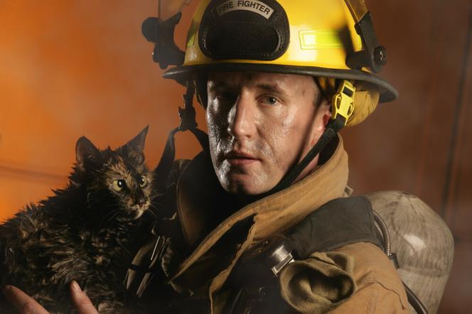 Koty wywołały ponad 100 pożarów mieszkań w ciągu trzech lat