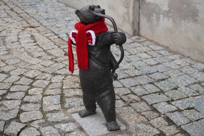 WidziMisie w Białymstoku gotowe na zimę