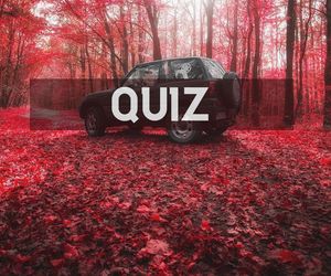 QUIZ. Kultowe seriale kryminalne. Sprawdź, czy jesteś prawdziwym fanem