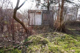 Domek Fiński Ryszarda Kapuścińskiego to ruina - zobacz zdjęcia