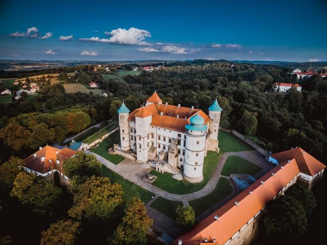 Zamek w Wiśniczu
