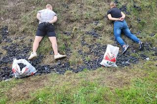 Złodzieje przyłapani na kradzieży węgla. Pakowali łupy w reklamówki 