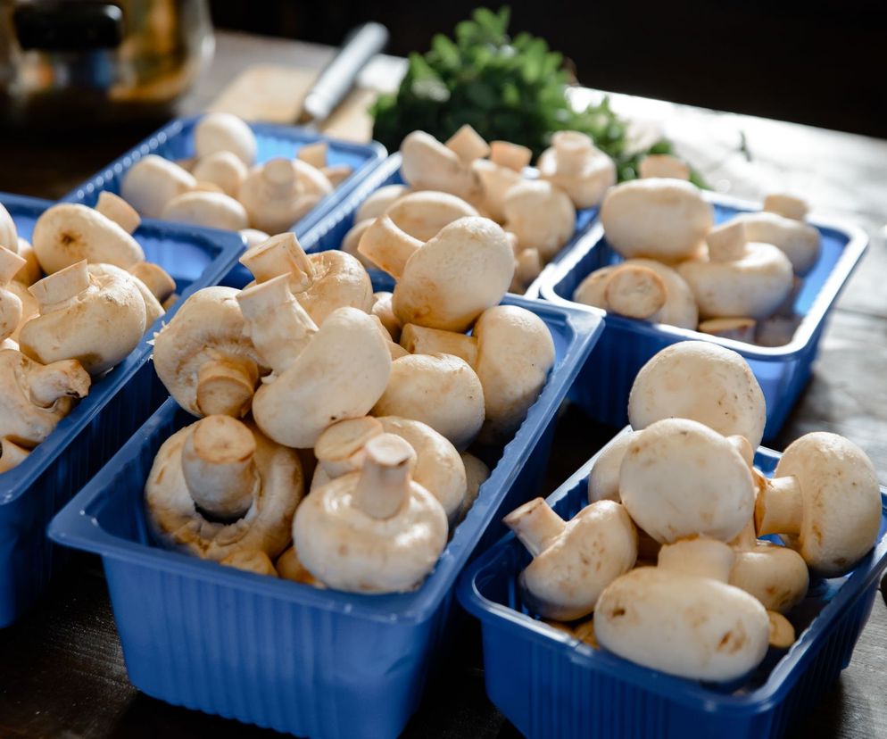 jak przechowywać pieczarki