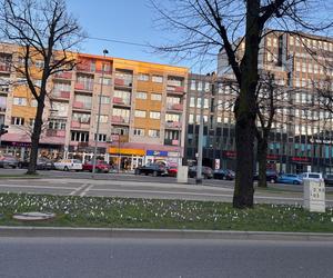 Szczecin. Zbadano źródło nieprzyjemnych zapachów