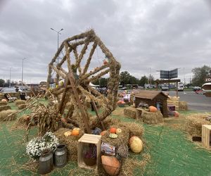 Farma Dyniowa w Łodzi. Sprawdziliśmy, jak wygląda i jakie atrakcje oferuje. Warto?