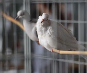 ZooPark ponownie przyciągnął do Targów Lublin tłumy miłośników zwierząt
