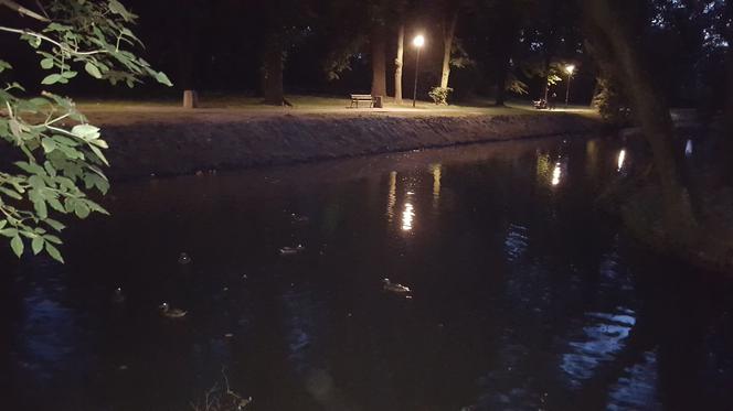 Odmulono staw w parku na osiedlu Słocina