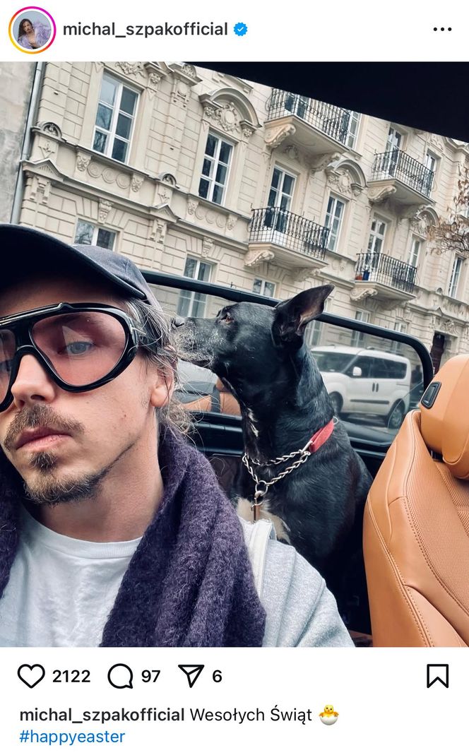 Te psy skradły serca gwiazd! Niektóre wyglądają jak z bajk