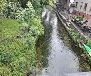 W tym mieście poczujesz się jak w Wenecji. Włoski klimat na północy Polski