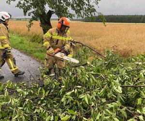 Burze i nawałnice nad Podkarpaciem. Strażacy interweniowali prawie 500 razy [ZDJĘCIA]