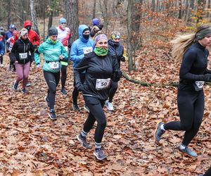 Katowicki City Trail jak zwykle ze znakomitymi biegaczami i biegaczkami. Zobacz zdjęcia ze sportowej imprezy