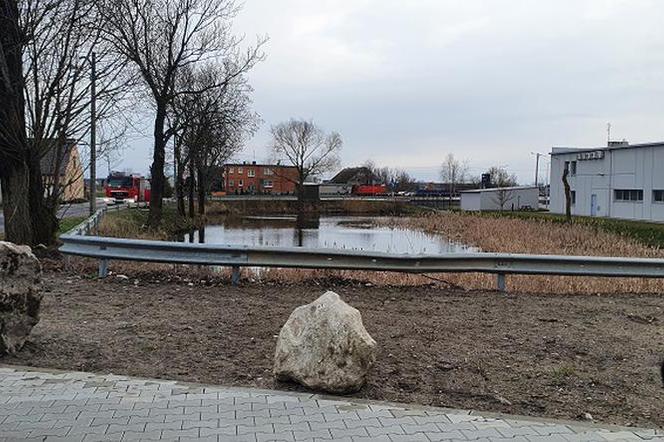 Zwłoki mężczyzny w stawie