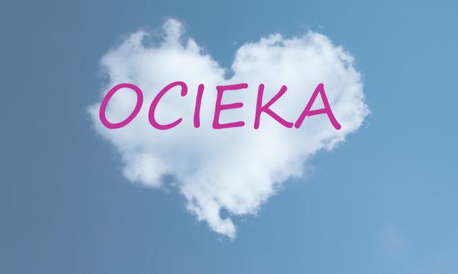 Ocieka