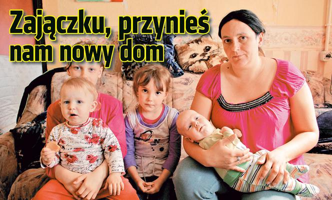 Zajączku, przynieś nam nowy dom