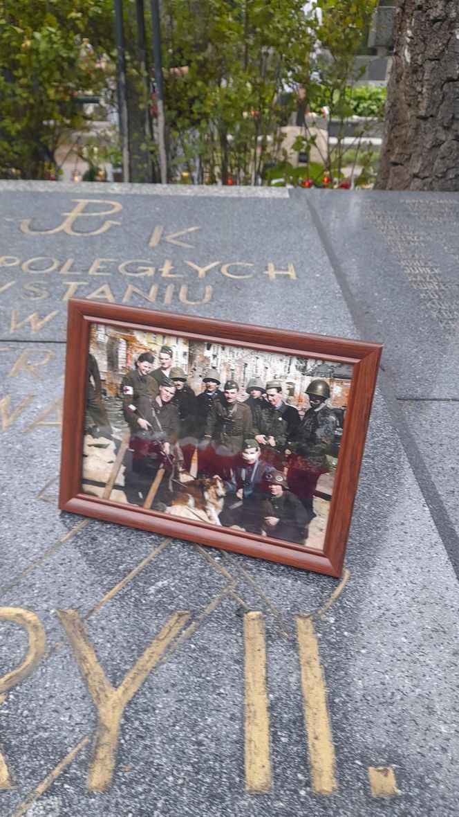 81. rocznica wybuchu Powstania Warszawskiego. Uroczystości przy pomniku Gloria Victis