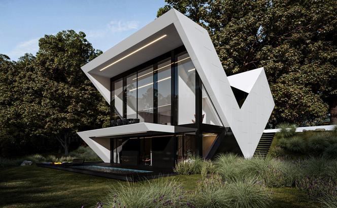 RE: VMAX HOUSE, projektu architekta Marcina Tomaszewskiego, REFORM Architekt