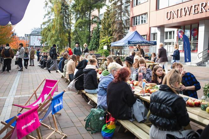 Rewitalizacja terenu wokół Rawy w Katowicach
