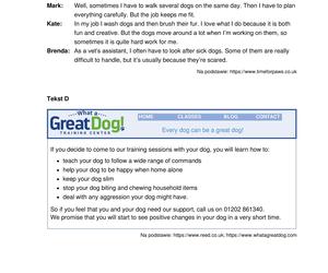 Matura próbna CKE angielski grudzień 2022