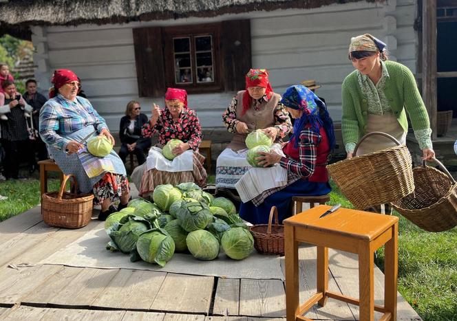 "Obieraczki kapuściane" w Muzeum Wsi Lubelskiej