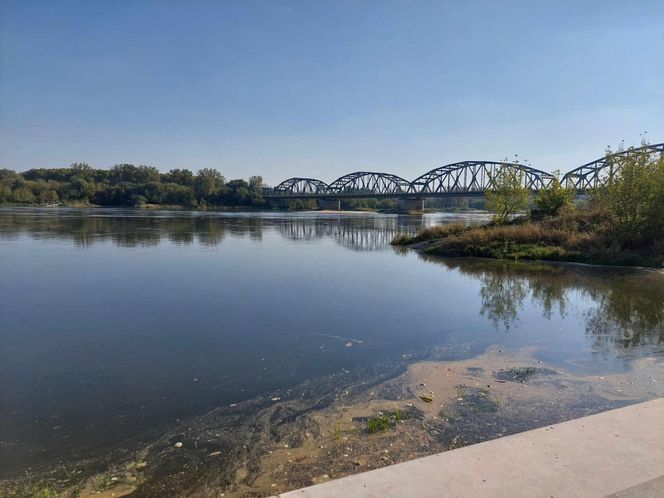 Wisła w Fordonie wyraźnie przybrała i przyspieszyła. Duża woda niesie mnóstwo śmieci i zanieczyszczeń