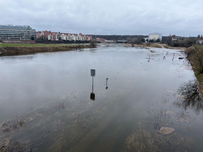 Poziom Warty w Poznaniu najwyższy od lat. Warta i Cybina zalewają pobliski teren