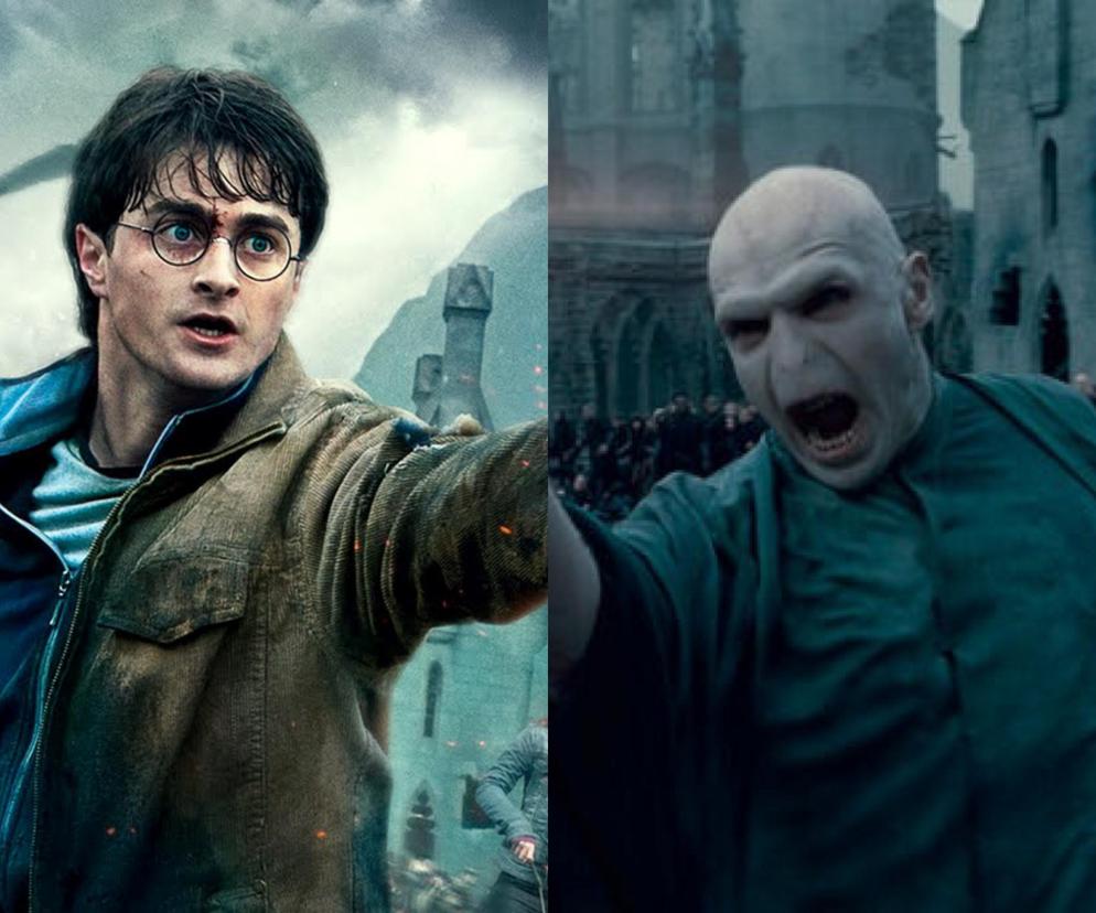 Harry Potter / Voldemort