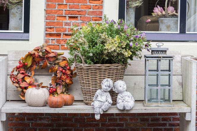 Jesienna aranżacja balkonu: jakie rośliny na balkon jesienią. ZDJĘCIA