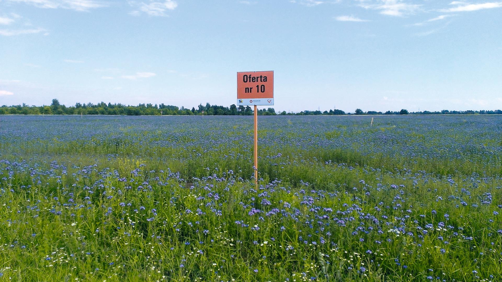 Osiedle Nowe Żerniki 1