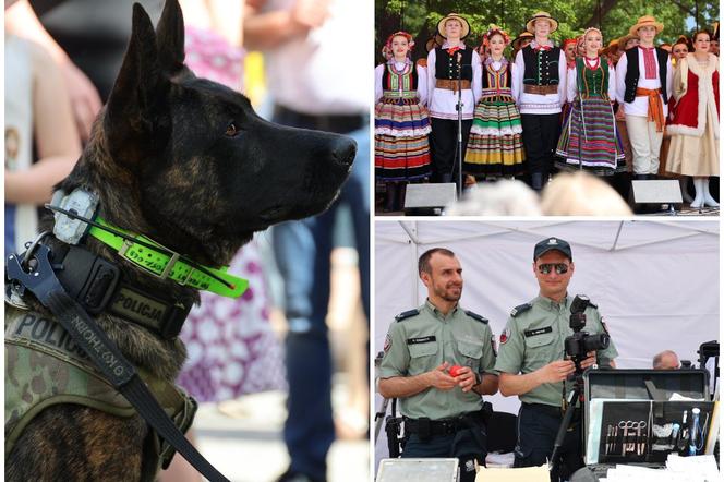 Piknik patriotyczny i koncert „Polskie Tańce Narodowe i Regionalne” na pl. Litewskim w Lublinie