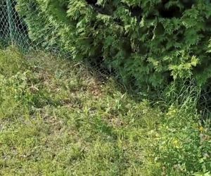 21 latka wróciła z pracy i zabiła nastolatka