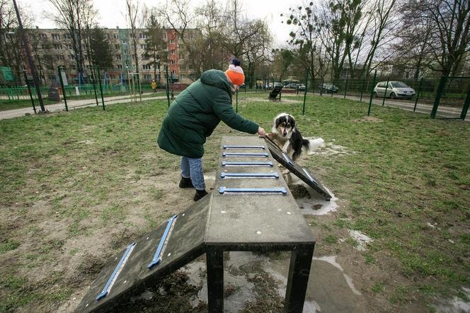 Na Bałutach powstał nowy psi park