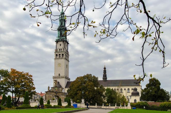 Najbardziej zielone miasta w Śląskiem