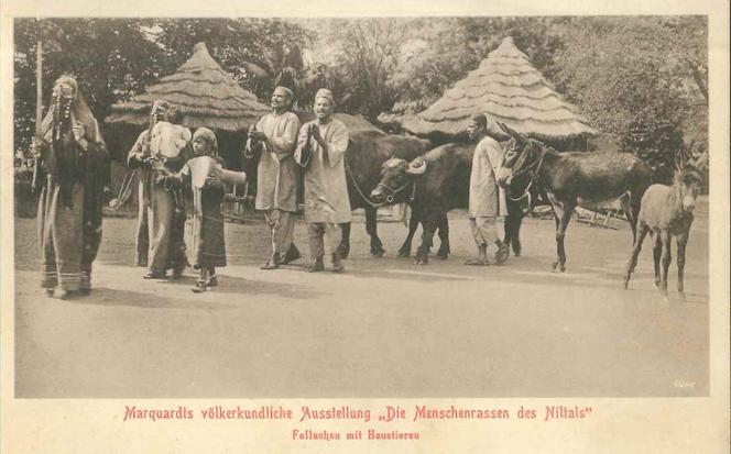 Niezwykłe pocztówki z wrocławskiego zoo. Pamiętają czasy Breslau! [ZDJĘCIA] 