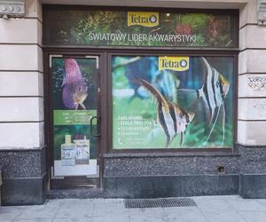 Sklep zoologiczny w Katowicach walczy o przerwanie